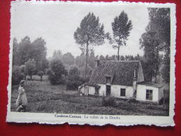 BELGIQUE - CAMBRON - CASTEAU - LA VALLEE DE LA DENDRE - LAITIERE -  " FOTO WOUTEERS , AVERBODE " - CARTE RARE - - Brugelette