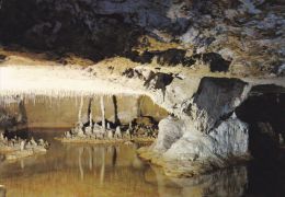 Cp , 37 , SAVONNIÈRES , Grottes Pétrifiantes Des Caves Gouttières , Lac Pétrifiant Avec Stalactites Et Stalagmites - Other & Unclassified