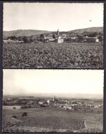 LOT 2 CP-PHOTO- FRANCE- CAPENDU (11)- VUE GENERALE GROS PLAN- VIGNOBLES- - Capendu