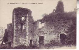 49 CHAMPTOCEAUX - Les Ruines Du Prieuré - D3 1042 - Champtoceaux