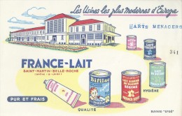 "  FRANCE  -  LAIT  "  St - Martin - Belle - Roche   ( 71 )      -   Ft  =  21 Cm  X 13.5 Cm - Dairy