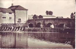 Cpsm 50 DUCEY - Le Moulin Et Le Pont Romain - D16 130 - Ducey