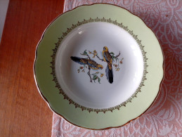 1 ASSIETTE CREUSE SOUPE ANCIENNE Signé K & G LUNEVILLE BADONVILLER DECOR OISEAU PERRUCHE Bord Vert - Lunéville (FRA)