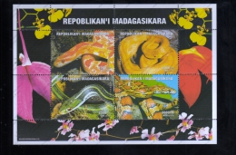 MADAGASCAR Nº - Serpenti