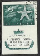 TRIESTE B 1952 MOSTRA FILATELICA FOGLIETTO STAMP EXHIBITION BLOCCO FOGLIETTO BLOCK SHEET USATO USED OBLITERE' - Usati