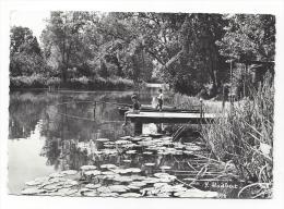 CPSM - LA PECHE SUR LE LOING (77) Près Du Pont De BAGNEAUX - Flamme Montigny-sur-Loing 1964 - Bagneaux Sur Loing