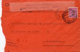 1950  LETTERA CON ANNULLO  PIACENZA D 'ADIGE   PADOVA - Portomarken