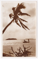 Islets Of The Mainland Near Nukualofa, Tonga - Pas Circulé, Teinte Jaunâtre - Tonga