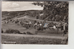 6124 BEERFELDEN - OLFEN, Ortsansicht, 1964 - Erbach