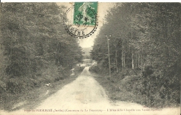 Foret De Perseigne Commune De La Fresnaye L Allee De La Chapelle Aux Ventes Du Four - La Fresnaye Sur Chédouet