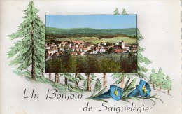 UN BONJOUR DE SAIGNELEGIER - Saignelégier