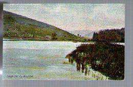 Jolie CP Ancienne Irlande Lough Dan Co. Wicklow - Ed J.W.B. Séries 304 - Cp Pas écrite - Wicklow