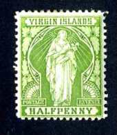 6067x)  Virgin 1899  ~ Scott # 21  Mint*~ ( Cat. $3.75 )~ Offers Welcome! - British Virgin Islands