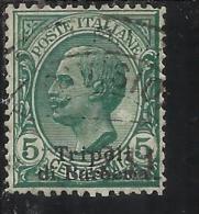 TRIPOLI DI BARBERIA 1909 SOPRASTAMPATO D´ITALIA ITALY OVERPRINTED CENT. 5 C USATO USED OBLITERE' - Bureaux D'Europe & D'Asie