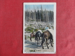 Big Horn Mountains,WY--On The Trail--cancel 1924--PJ 288 - Andere & Zonder Classificatie