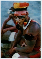 Postcard - Brazil, Indios   (V 19971) - Andere