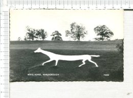 MARLBOROUGH -  White Horse - Other & Unclassified