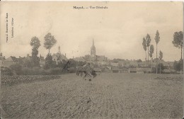 Mayet  72  Vue Générale  CPA 1911 - Mayet