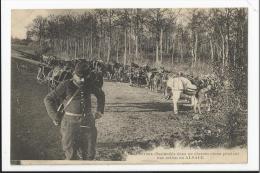 CPA Militaria : Chevaux Dissimulés Dans Un Chemin Creux Pendant Une Action En Alsace - Guerra 1914-18