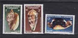 Nouvelle Calédonie 1981  N° 446 à 448    Neuf  X X Coquillage - Unused Stamps