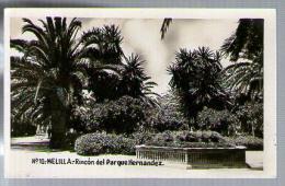 Jolie CP Photo Espagne Melilla Rincon Del Parque Hernandez N° 10 - CAD 17-10-1973 / 2 Tp Pour J. Etter Pantin - Melilla