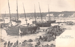 ¤¤  -  741   -  CANCALE   -  Le Triage Des Huitres  -  Ostréïculture  -  Bateaux De Pêches   -  ¤¤ - Cancale