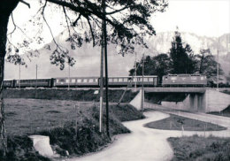 Chemin De Fer Des Grisons, Train Près De Landquart, Photo 1975 BVA, RhB 231.1 - Landquart