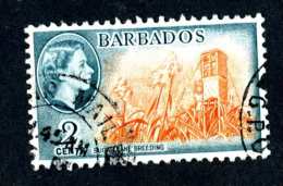 6299x)  Barbados 1954  ~ SG # 290  Used~ Offers Welcome! - Barbados (...-1966)