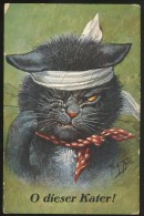SIGNED A. THIELE OLD POSTCARD #03 DRESSED CAT CATS J.S.&Co.M. Nr 2641 - Thiele, Arthur