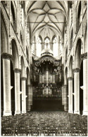 Grote Magdalenakerk Goes - & Orgel, Organ, Orgue - Goes
