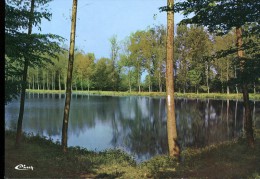 77 - Abbaye De Faremoutiers : L'Etang - Faremoutiers