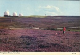 (111) UK - Yorkshire - Flylingdales Moors - Astronomie