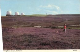 (111) UK - Yorkshire - Flylingdales Moors - Sterrenkunde