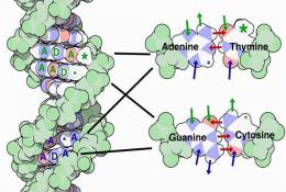 [NZ08-092  ]    Chemistry Gene DNA Biochemistry, Postal Stationery --Articles Postaux -- Postsache F - Chimie