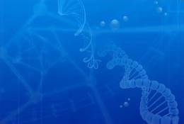 SA07-001   @      DNA Chemistry Biochemistry Gene  .   Pre-stamped Card  Postal Stationery- Articles Postaux - Chemistry