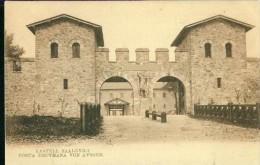 Litho Kastell Saalburg Porta Decumana Von Aussen Um 1910 Decvmana Von Avssen Rar - Saalburg