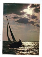 Cp , SPORTS , VOILE , Plaisir De La Voile , Voiliers , Phot : G Le Cossec  ,ed :Yvon , N° 10-2436 , VIERGE - Voile