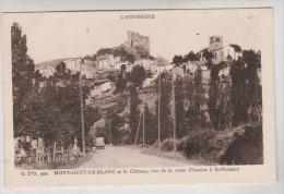 CPA DPT 63 MONTAIGUT LE BLANC ET LE CHATEAU - Montaigut