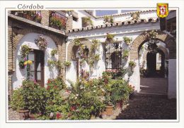 Cp , ESPAGNE , CORDOBA , Patio Cordobes , Calle Montero - Córdoba