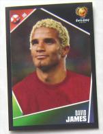 DAVID JAMES ENGLAND #117 PANINI STICKER 2004 UEFA EURO SOCCER CHAMPIONSHIP PORTUGAL FUSSBALL FOOTBALL - Edición  Inglesa