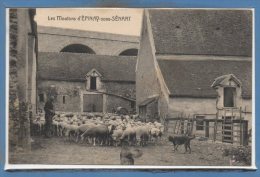 91 - EPINAY Sous SENART -- Les Moutons - Epinay Sous Senart