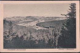 Feldberg - Aussicht Vom Büstenwald - Schwarzwald - Feldberg