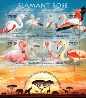 Togo. 2013 Flamingos. (205a) - Fenicotteri