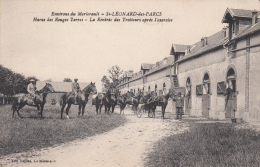 61 - ENVIRONS DE LE MERLERAULT / ST LEONARD DES PARC - HARAS DES RERRES ROUGES - LA RENTREE DES TROTTEURS - Le Merlerault