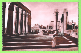 LUXOR / LE TEMPLE.... / Carte Vierge - Luxor