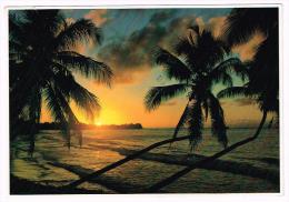 M167 Hawaii - A Lovely Tropical Sunset - Coucher Tramonto / Viaggiata 1984 - Autres & Non Classés