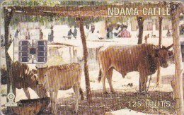 Gambia, GAM-D10, 125 Units, Abyssinian Roller, Cows, 2 Scans. - Gambie