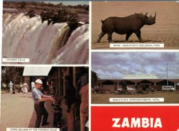 (140)   Rhinoceros - Zambia - Victoria Falls - Rhinozeros