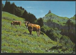 INNERTHAL Zindelspitze Gasthaus STAUSEE Schwyz 1987 - Innerthal