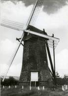 ARENDONK (Antw.) - Molen/moulin - Zeldzame Achtkante Houten Molen "De Toreman" Of "Steendonker (1974). - Arendonk